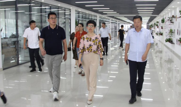 City leader Wang Liqin visited Meichen Industrial Group for research and guidance