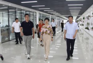 City leader Wang Liqin visited Meichen Industrial Group for research and guidance-1
