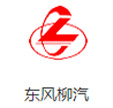 logo20